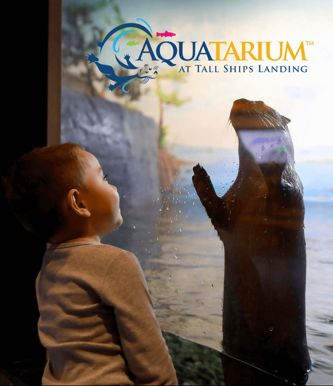 Aquatarium