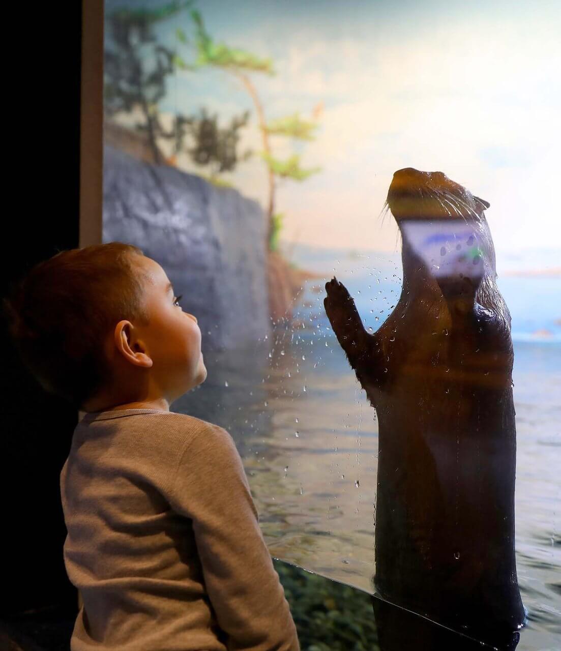 Making Friends at the Aquatarium, Brockville 1000 Islands-medium