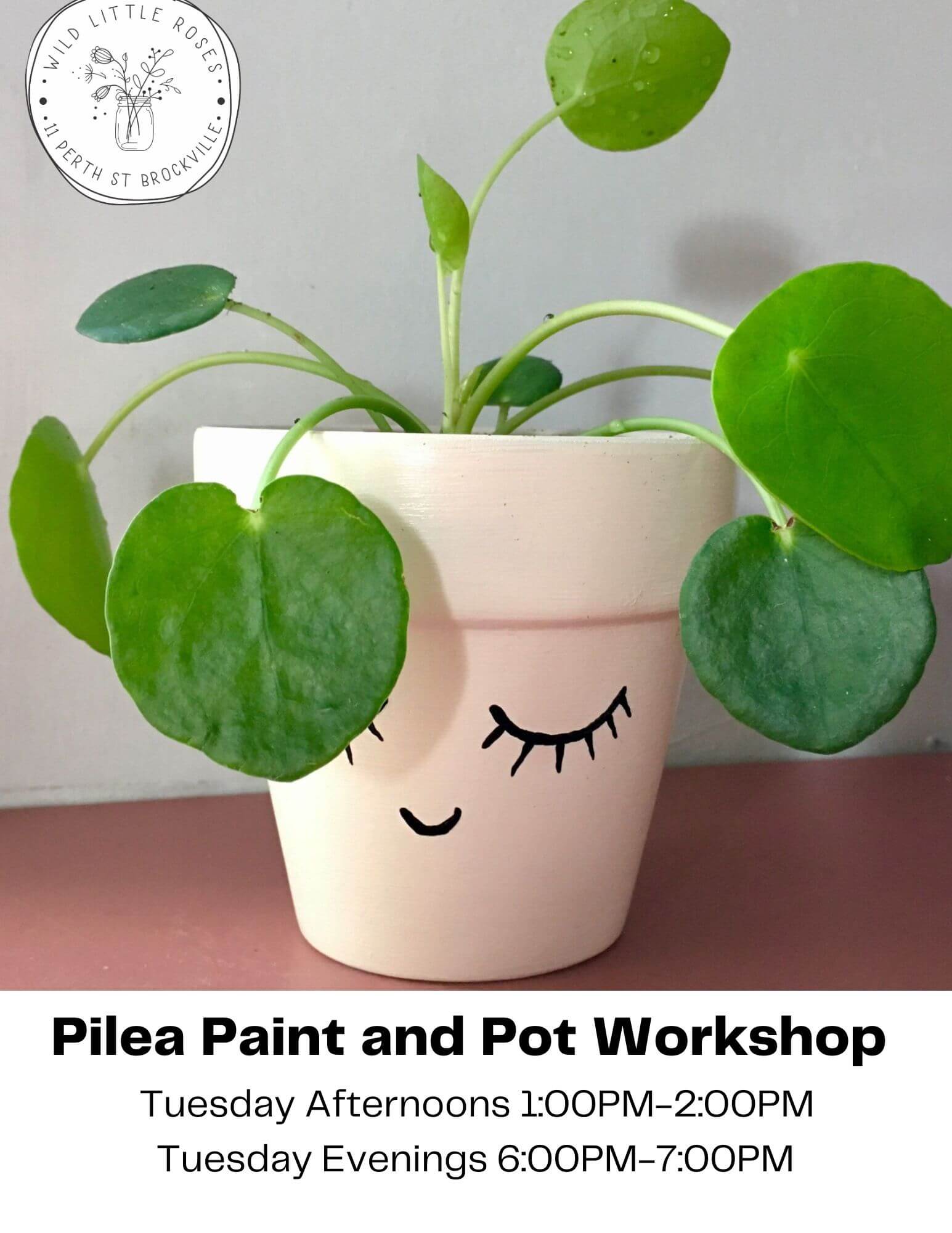 pilea-paint-and-pot-workshop-brockville-tourism