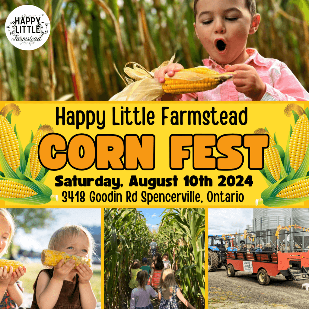 Corn Festival - Brockville Tourism